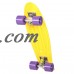22 inch Retro Mini Cruiser Complete Skateboard Capacity 220 pounds,12 Colors   